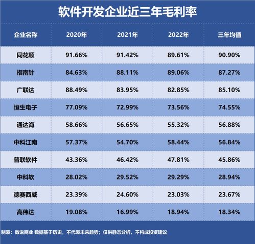 軟件開發領域 誰是盈利能力最強的企業？